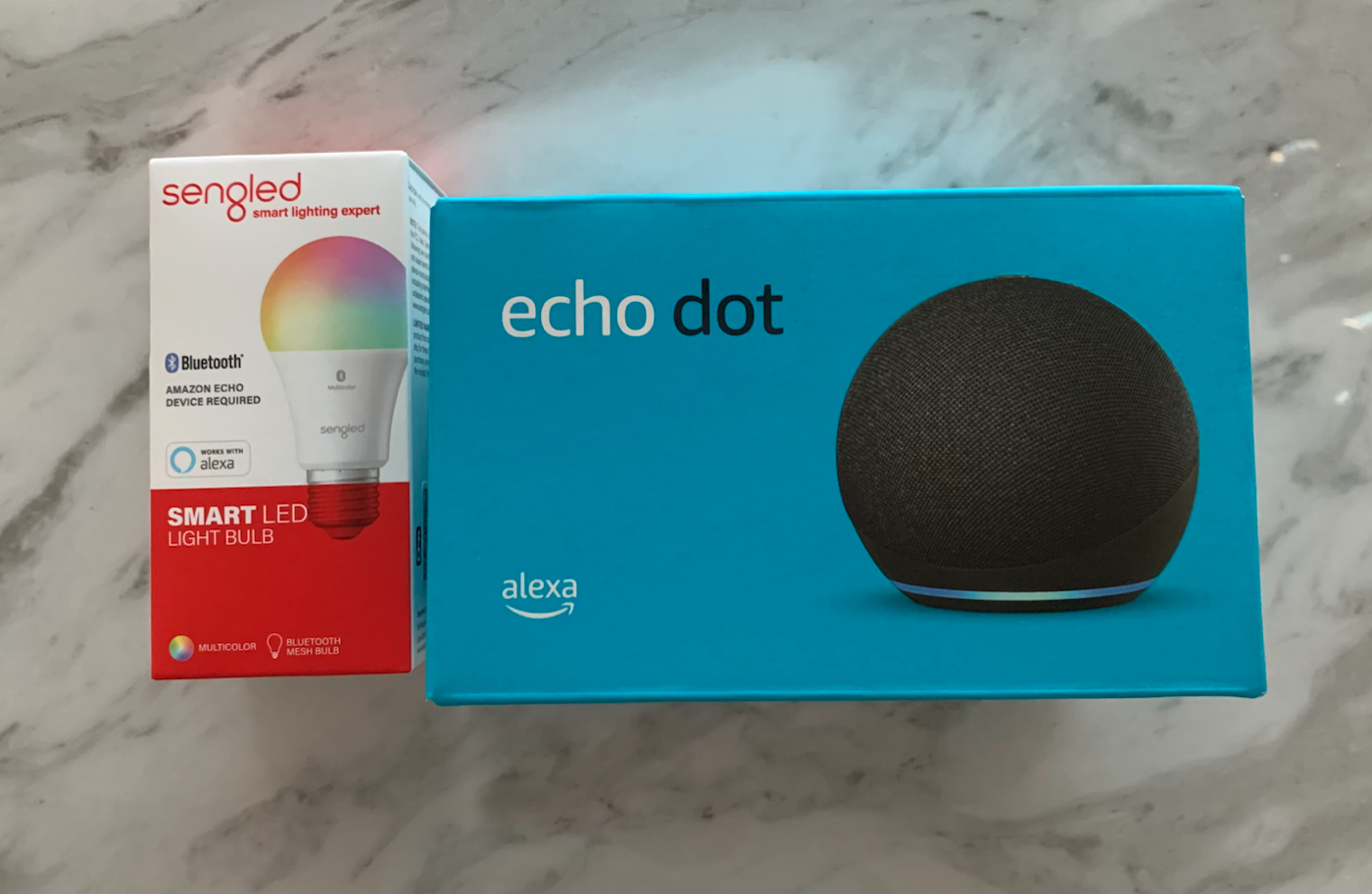 Alexa Enciende Por Que Alexa Parpadea Amarillo Mi Echo Dot